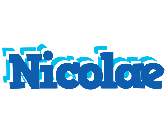 Nicolae business logo