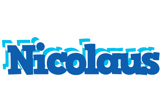 Nicolaus business logo