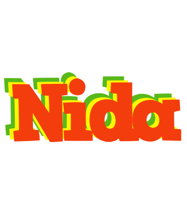 Nida bbq logo