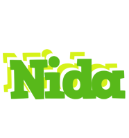 Nida picnic logo