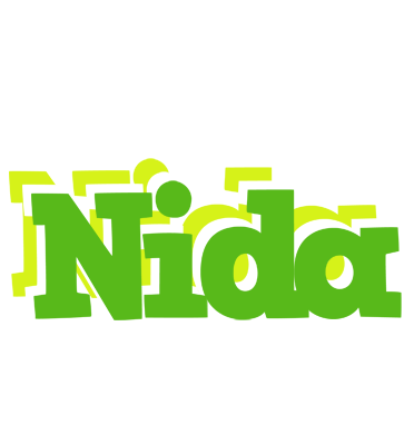 Nida picnic logo