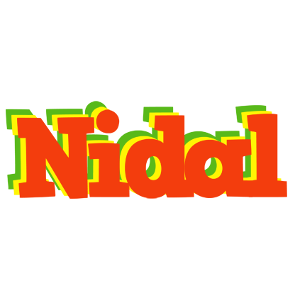 Nidal bbq logo
