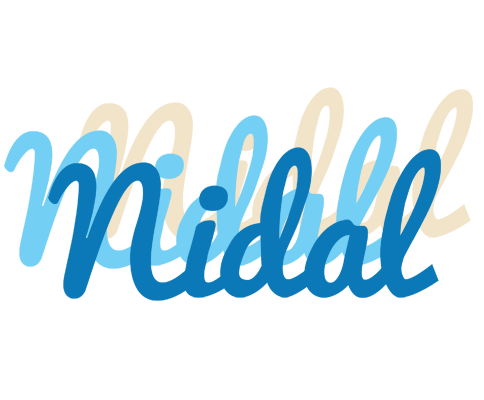 Nidal breeze logo
