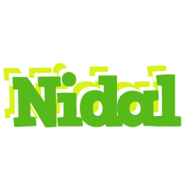 Nidal picnic logo