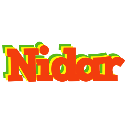 Nidar bbq logo