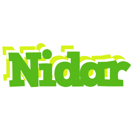 Nidar picnic logo