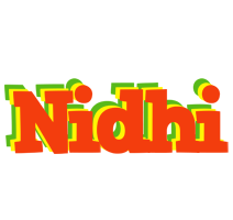 Nidhi bbq logo