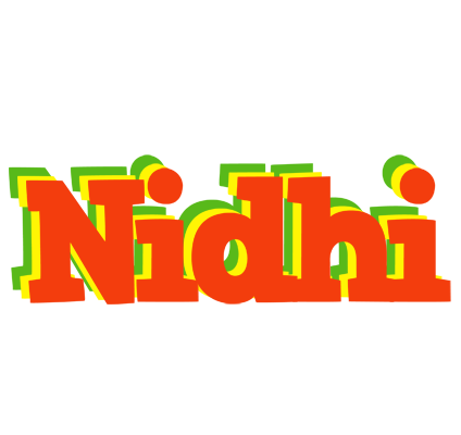 Nidhi bbq logo