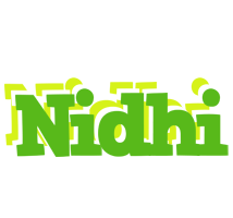 Nidhi picnic logo