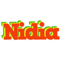 Nidia bbq logo