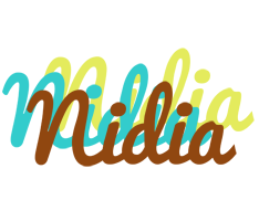 Nidia cupcake logo