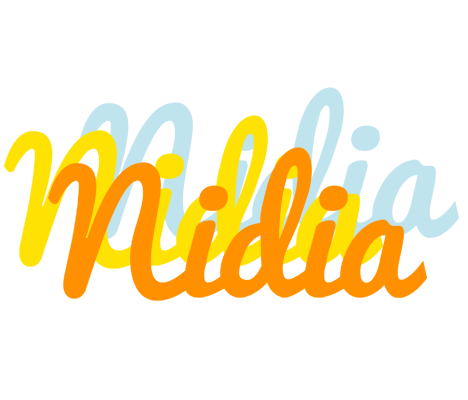 Nidia energy logo