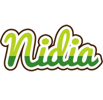 Nidia golfing logo