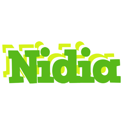 Nidia picnic logo