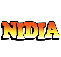 Nidia sunset logo