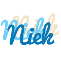 Niek breeze logo