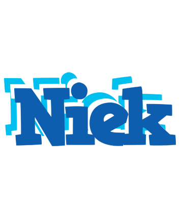 Niek business logo
