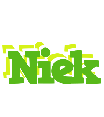 Niek picnic logo