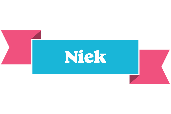 Niek today logo
