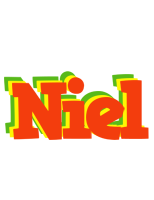 Niel bbq logo