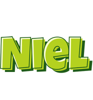 Niel summer logo