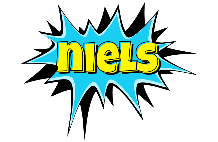 Niels amazing logo