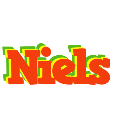Niels bbq logo