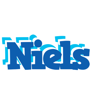 Niels business logo
