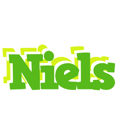 Niels picnic logo
