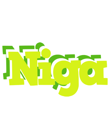 Niga citrus logo