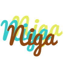 Niga cupcake logo