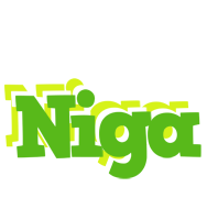 Niga picnic logo