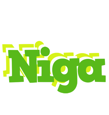Niga picnic logo