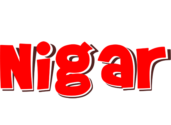 Nigar basket logo