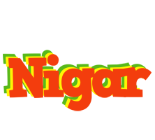 Nigar bbq logo