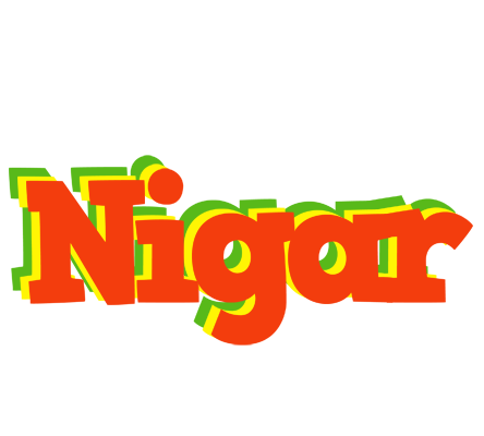 Nigar bbq logo