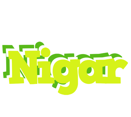 Nigar citrus logo