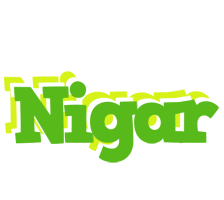 Nigar picnic logo