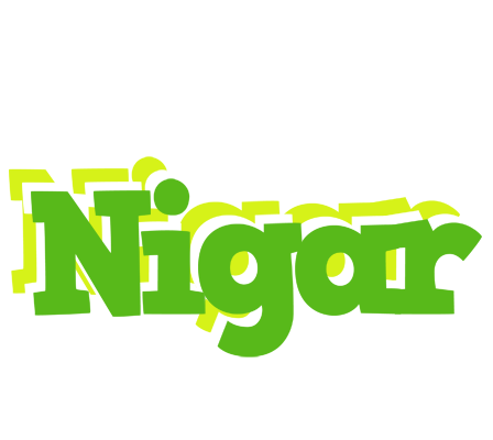 Nigar picnic logo