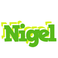 Nigel picnic logo