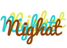 Nighat cupcake logo