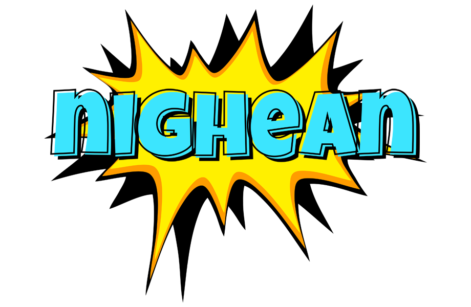 Nighean indycar logo