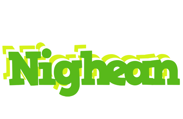 Nighean picnic logo