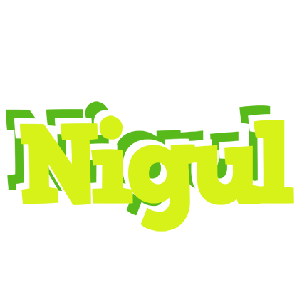Nigul citrus logo