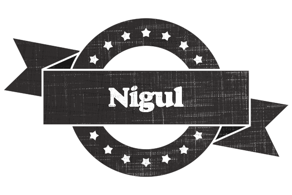 Nigul grunge logo