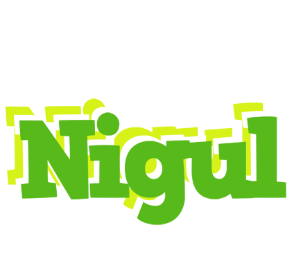 Nigul picnic logo