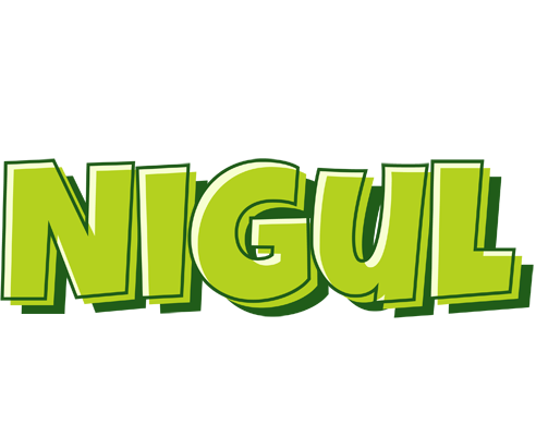 Nigul summer logo