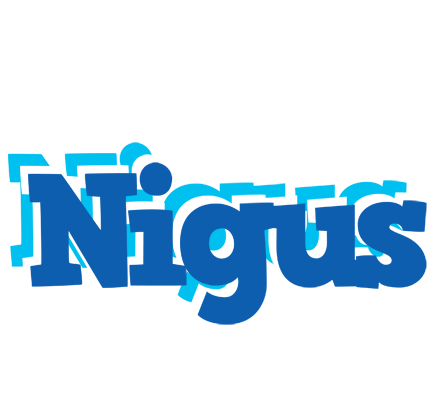 Nigus business logo