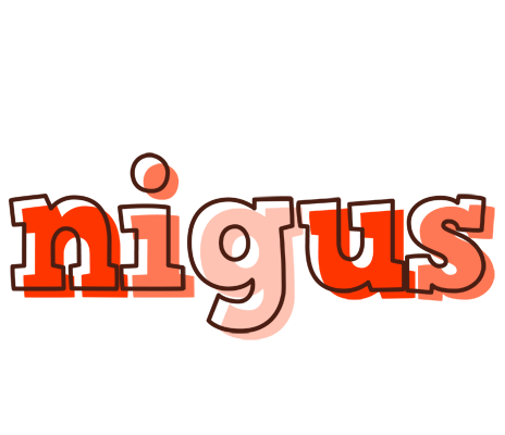 Nigus paint logo