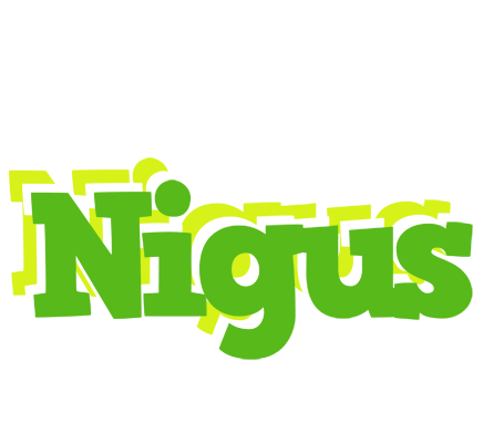 Nigus picnic logo